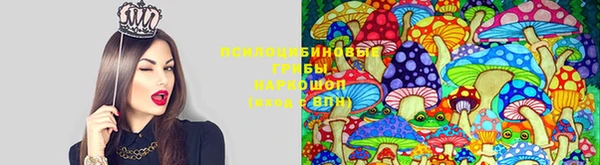 круглые Аркадак