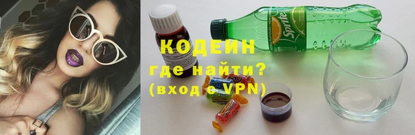 ПСИЛОЦИБИНОВЫЕ ГРИБЫ Арсеньев