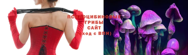 ПСИЛОЦИБИНОВЫЕ ГРИБЫ Арсеньев