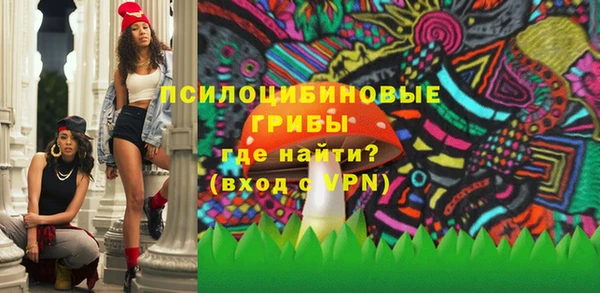 ПСИЛОЦИБИНОВЫЕ ГРИБЫ Арсеньев