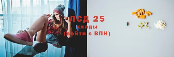 ПСИЛОЦИБИНОВЫЕ ГРИБЫ Арсеньев