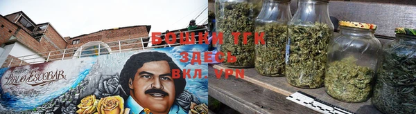 ПСИЛОЦИБИНОВЫЕ ГРИБЫ Арсеньев
