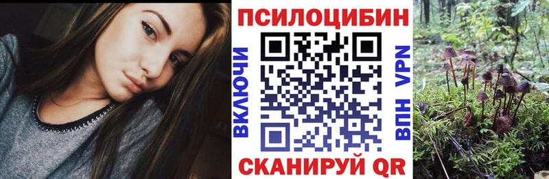 мега маркетплейс купить закладку Дюртюли Галлюциногенные грибы MAGIC MUSHROOMS